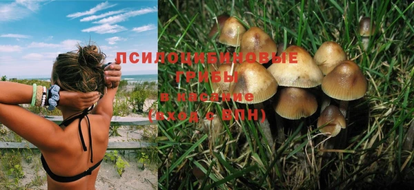 молекула духа Вязники