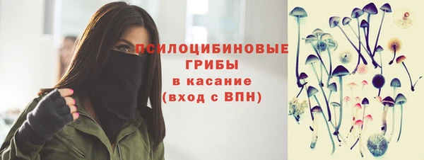 2c-b Вяземский