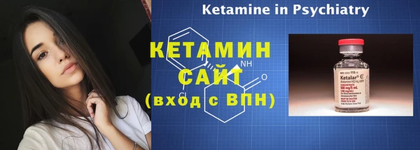 прущие грибы Новозыбков