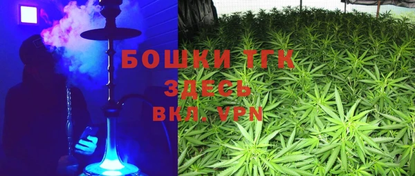 молекула духа Вязьма