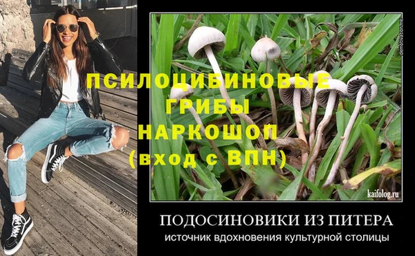 дмт Новодвинск