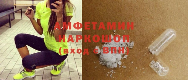 молекула духа Вязьма