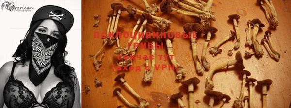 молекула духа Вязьма