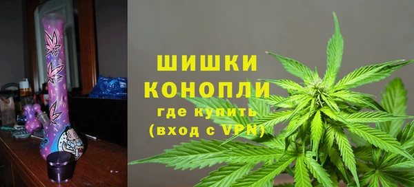 молекула духа Вязьма