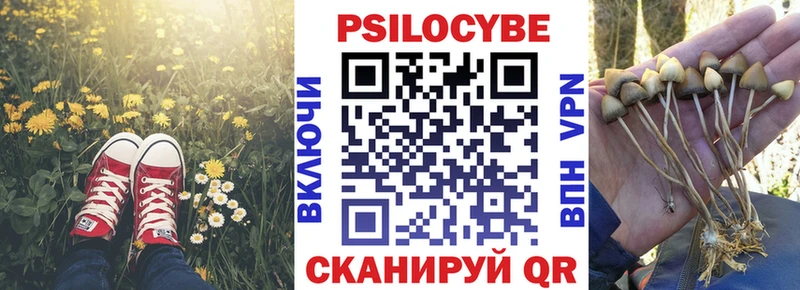 мориарти Telegram  Железногорск  Галлюциногенные грибы Magic Shrooms 
